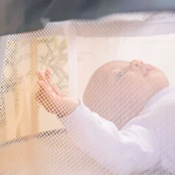 Bright Starts Disney Baby Winnie The Pooh Soothing Baby Bassinet - Slumber Party 19 Bright Starts Disney Baby Winnie The Pooh Soothing Baby Bassinet - Slumber Party -Baby Household Products GUEST 1a668770 99c0 4a74 a007 2fa3c4c493ce